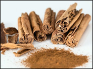 canela2