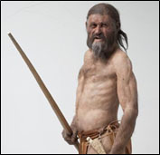 otzi