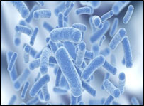 microbioma