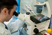 microscopio
