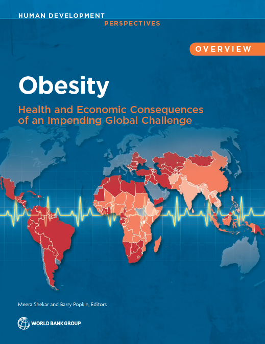 Obesity : Health and Economic Consequences of an Impending Global Challenge