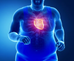 Exceso de barriga y riesgo cardiovascular